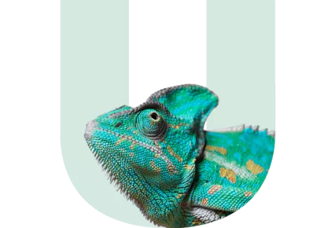 ddd